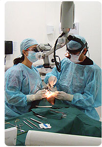 dental restoration